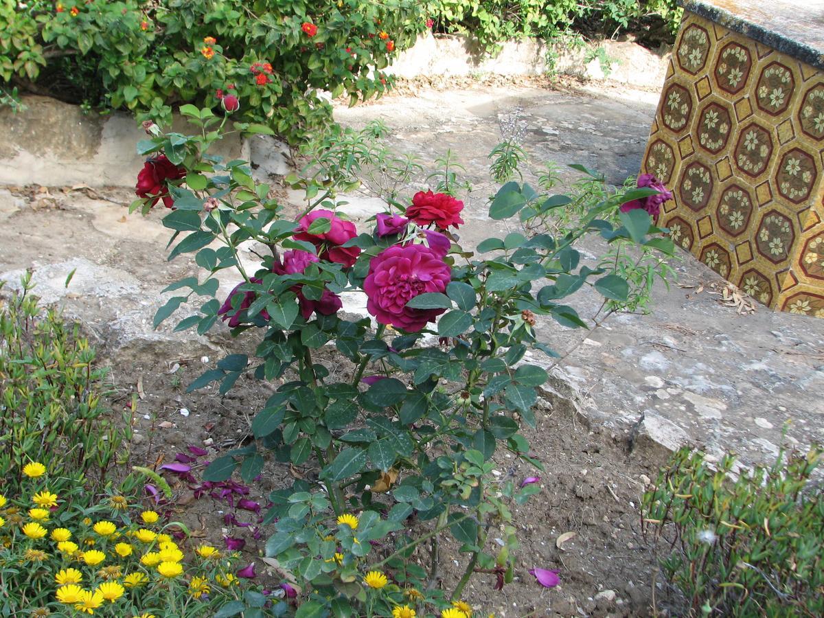 Casale Verderame 3*